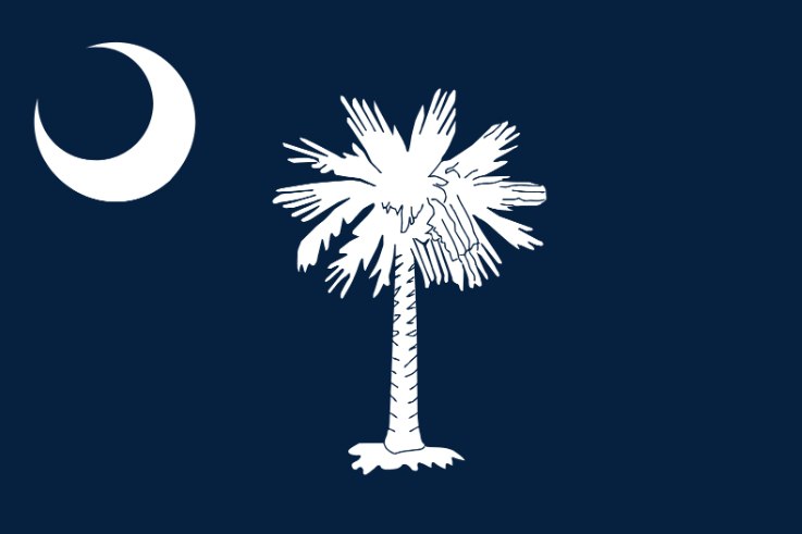 South Carolina Flag - Current Home State